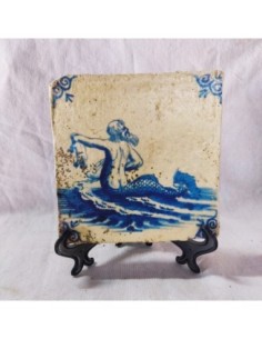 Azulejo tritón con bebé