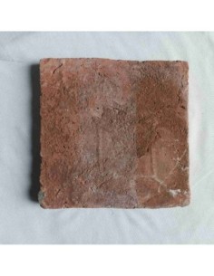 Azulejo tritón con bebé 2