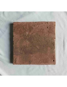 Azulejo tritón lanza 2