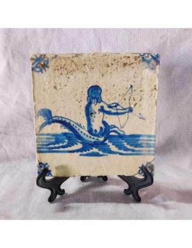 Azulejo tritón arquero