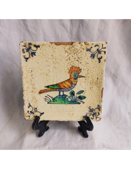 Azulejo pájaro abubilla