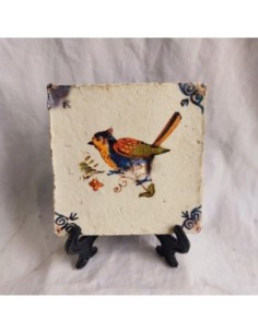 Azulejo pájaro azul