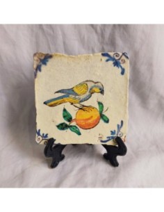 Azulejo pájaro fruta