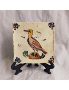 Azulejo pájaro gaviota