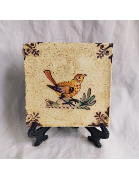 Azulejo pájaro gorrion