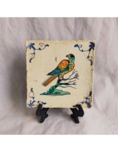 Azulejo pájaro kea